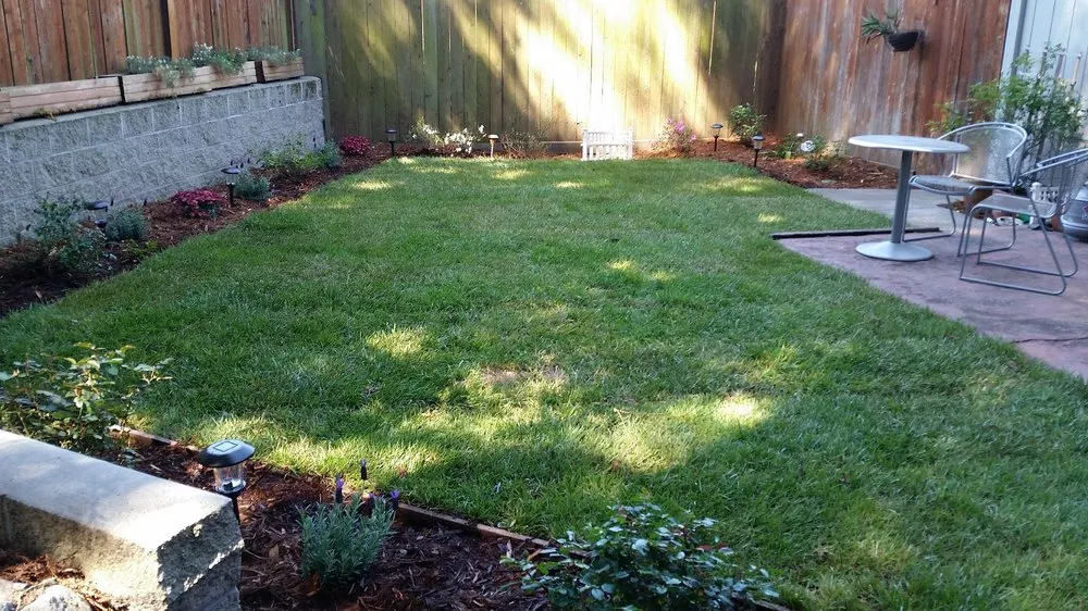 Professional residential landscaping for year-round maintenance across Petaluma, CA - JBS Landscaping