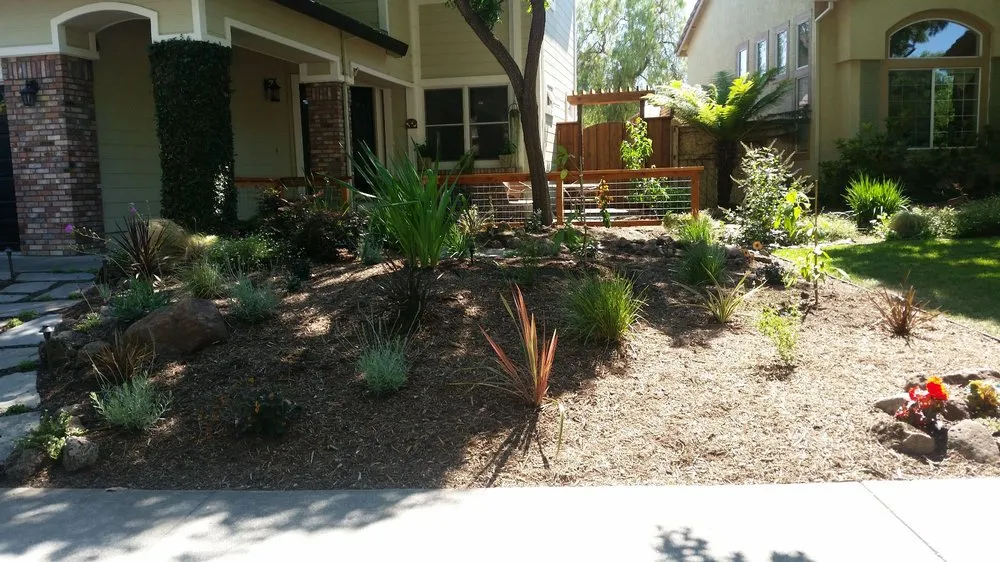 Local yard cleanup service in Petaluma, CA - JBS Landscaping