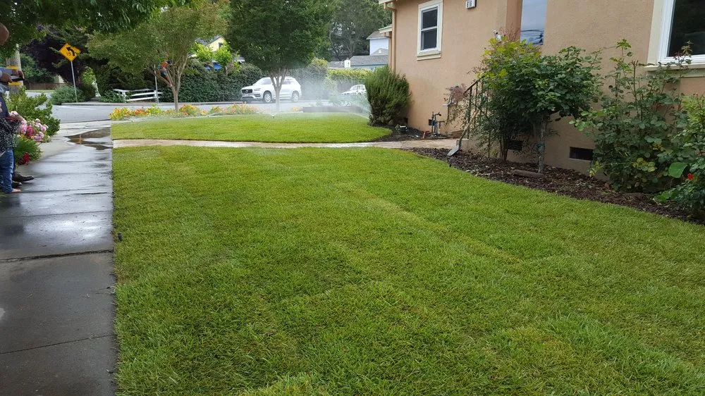 Reliable lawn mowing service for year-round maintenance across Petaluma, CA - JBS Landscaping