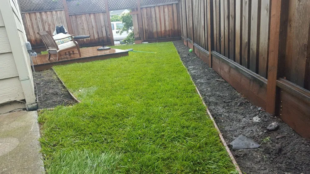 Expert yard maintenance experts serving Petaluma, CA - JBS Landscaping