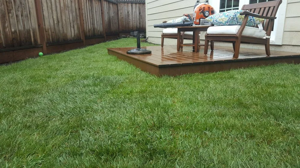 Reliable landscape design for beautiful yards in Petaluma, CA by JBS Landscaping