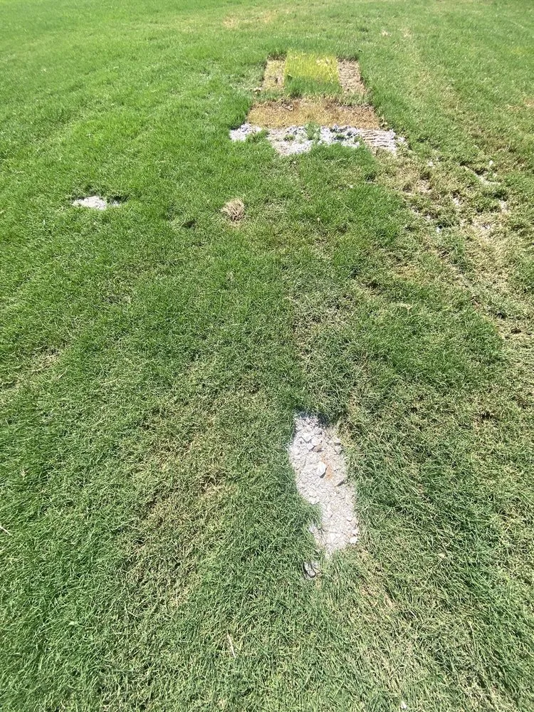 Local yard cleanup service in Springdale, AR - JB’s Landscaping