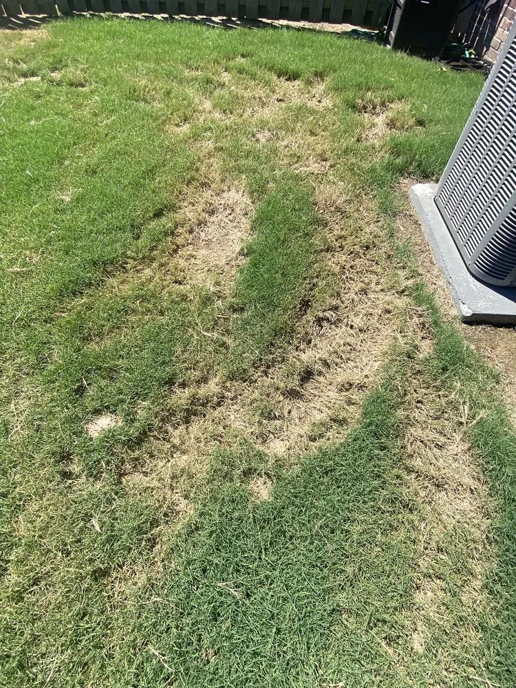 Affordable yard maintenance for beautiful yards across Springdale, AR - JB’s Landscaping