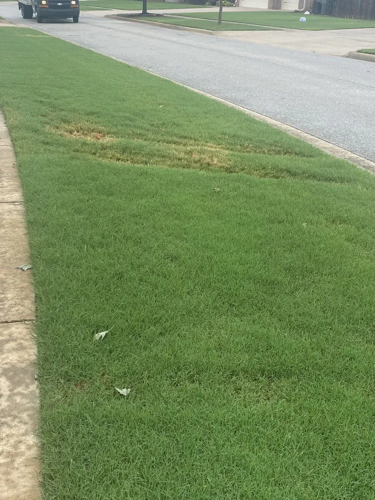 Top-rated outdoor landscaping in Springdale, AR by JB’s Landscaping