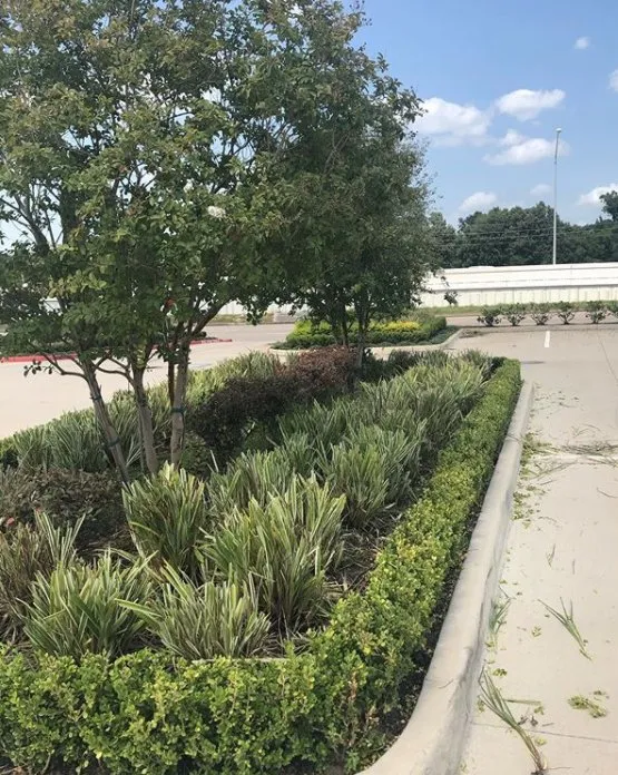 Local residential landscaping for beautiful yards across Houston, TX - JBS Lawn - Houston