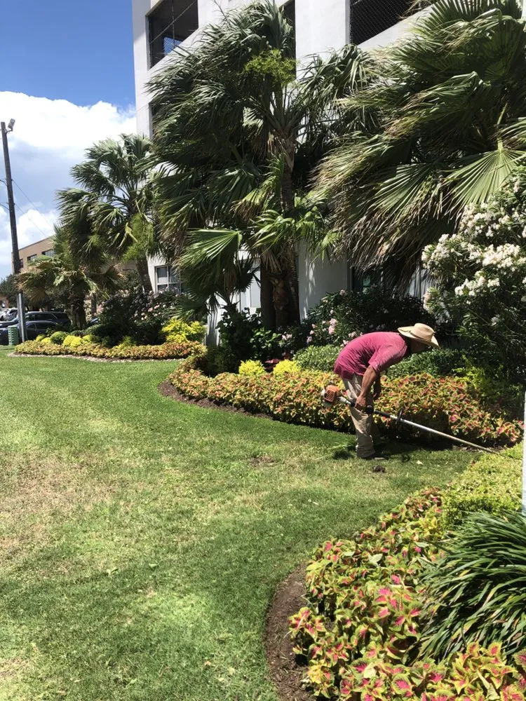 Custom yard maintenance in Houston, TX - JBS Lawn - Houston