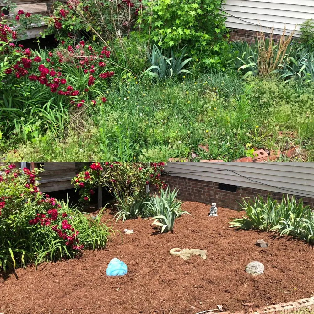 Top-rated lawn care service in Timberlake, NC by JB’s Lawn and Landscaping Care
