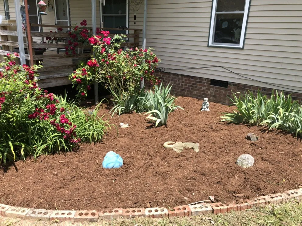 Trusted yard cleanup service for residential properties across Timberlake, NC - JB’s Lawn and Landscaping Care