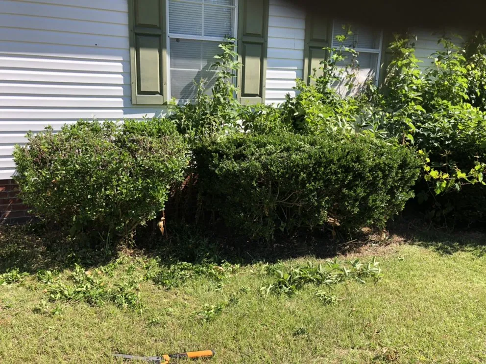 Custom garden landscaping for beautiful yards across Timberlake, NC - JB’s Lawn and Landscaping Care
