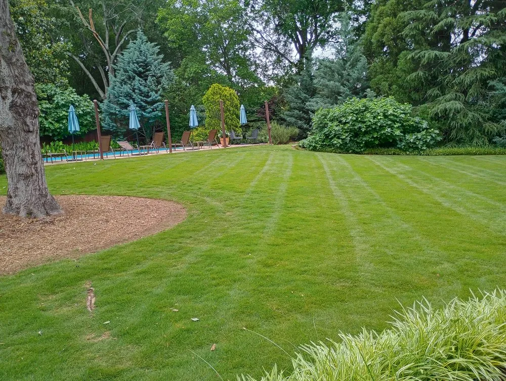 Affordable yard cleanup service in Woodruff, SC - JB’s Lawn Care & Home Repair