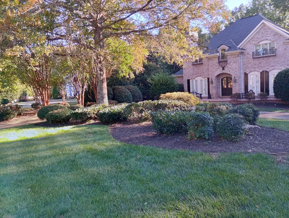 Reliable residential landscaping experts serving Woodruff, SC - JB’s Lawn Care & Home Repair