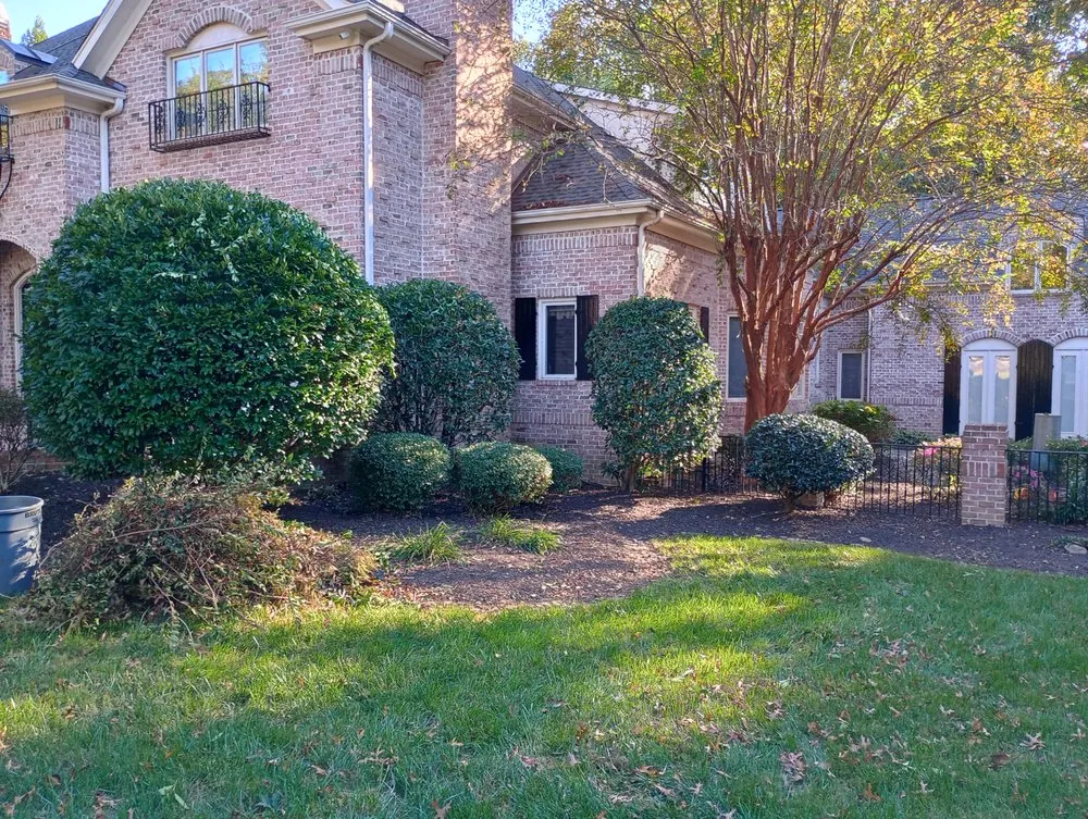 Local yard cleanup service experts serving Woodruff, SC - JB’s Lawn Care & Home Repair