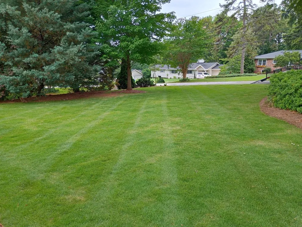 Reliable landscaping services experts serving Woodruff, SC - JB’s Lawn Care & Home Repair