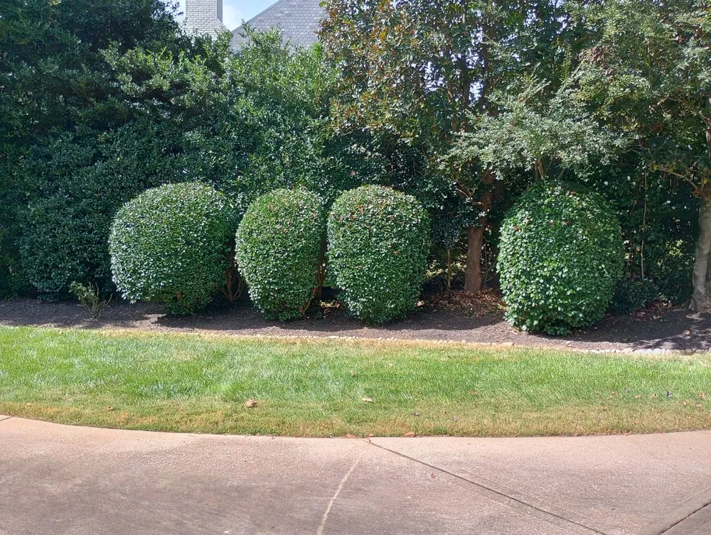 Local outdoor landscaping in Woodruff, SC by JB’s Lawn Care & Home Repair
