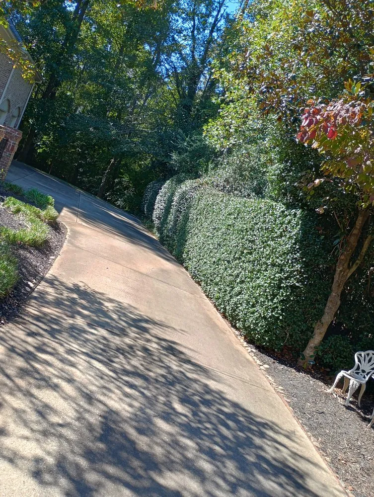 Trusted garden landscaping in Woodruff, SC - JB’s Lawn Care & Home Repair