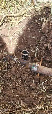 JBs Lawn Care & Repair Logo