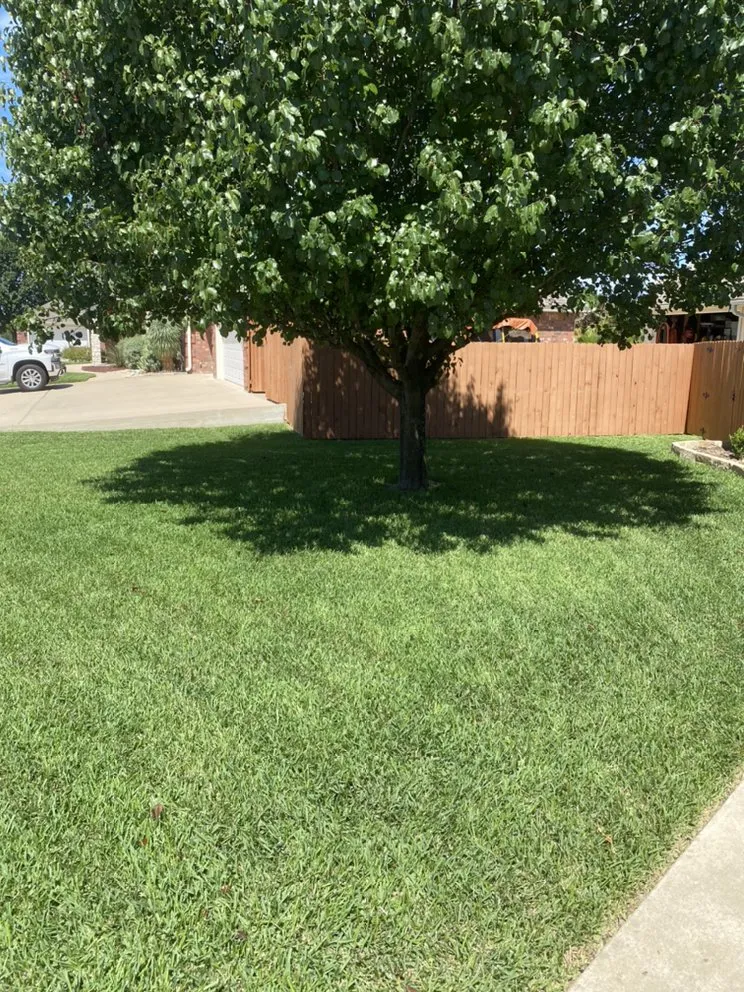 Affordable lawn mowing service near you across Killeen, TX - JB's Lawn Care