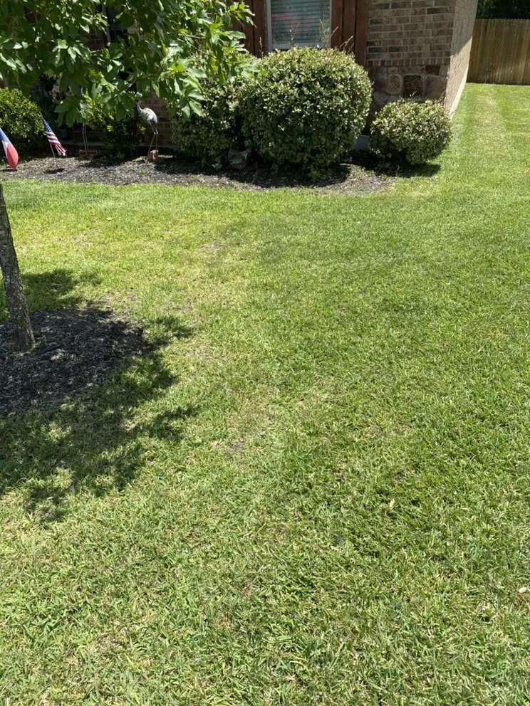 Affordable outdoor landscaping experts serving Killeen, TX - JB's Lawn Care