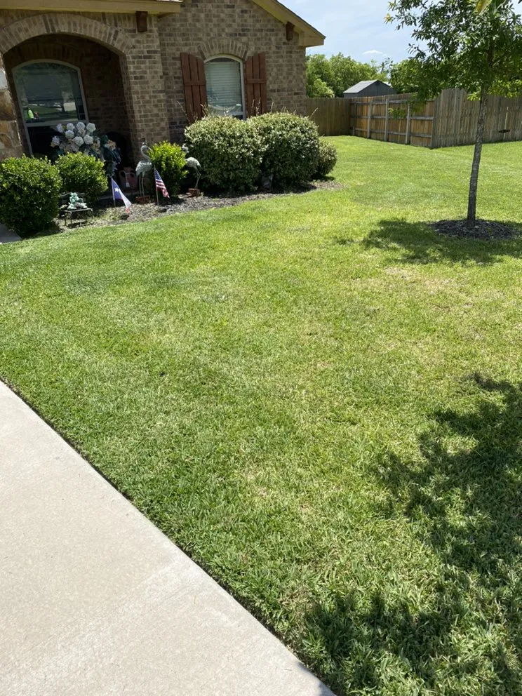 Top-rated yard cleanup service for beautiful yards across Killeen, TX - JB's Lawn Care