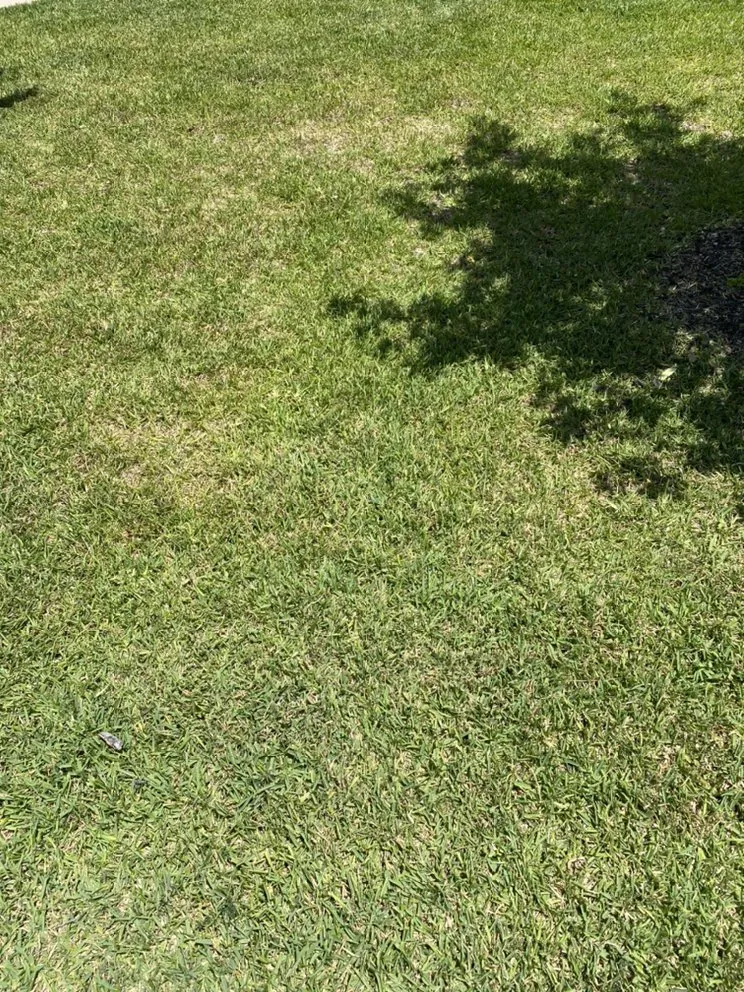 Trusted lawn mowing service for year-round maintenance in Killeen, TX by JB's Lawn Care