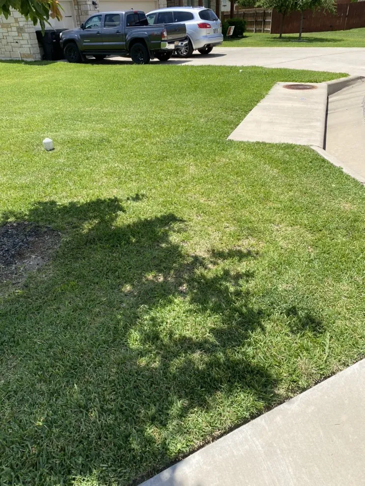 Affordable yard cleanup service experts serving Killeen, TX - JB's Lawn Care