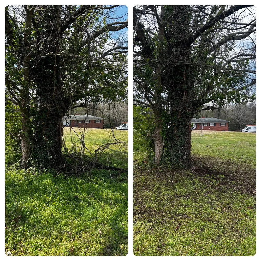 Expert outdoor landscaping for residential properties in Rossville, GA by JB’S lawn care