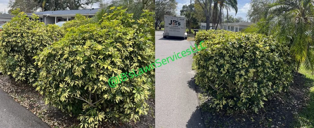 Top-rated outdoor landscaping for year-round maintenance across St. Petersburg, FL - Jb's Lawn Services