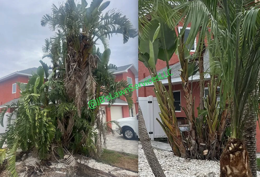 Affordable landscape design for homes across St. Petersburg, FL - Jb's Lawn Services
