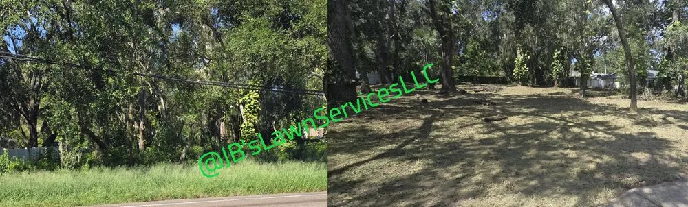 Professional yard maintenance for beautiful yards in St. Petersburg, FL by Jb's Lawn Services