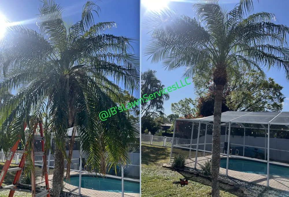 Trusted yard cleanup service experts serving St. Petersburg, FL - Jb's Lawn Services