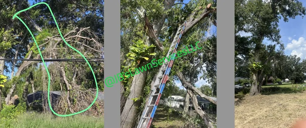 Top-rated garden landscaping with custom design in St. Petersburg, FL by Jb's Lawn Services