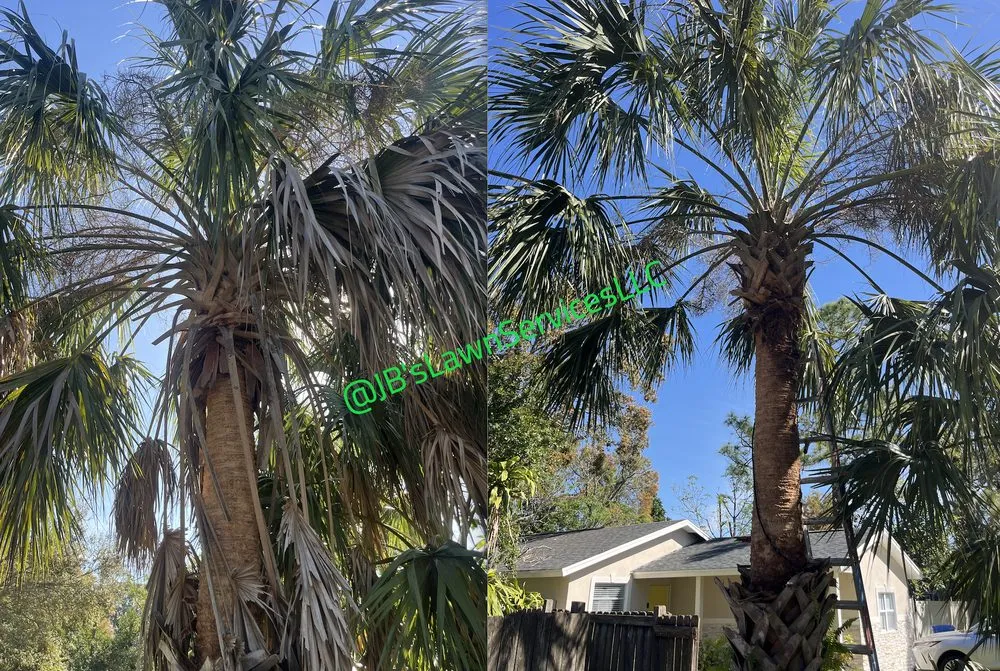 Top-rated lawn care service experts serving St. Petersburg, FL - Jb's Lawn Services