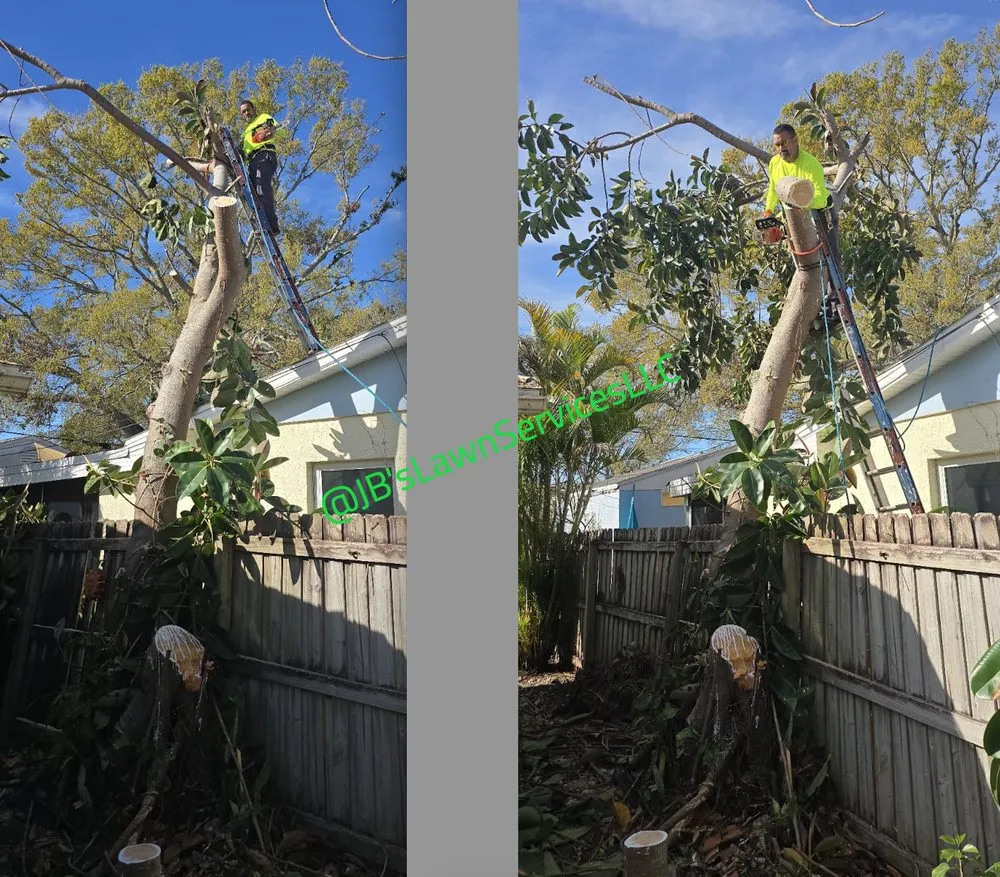 Custom yard maintenance with custom design in St. Petersburg, FL by Jb's Lawn Services