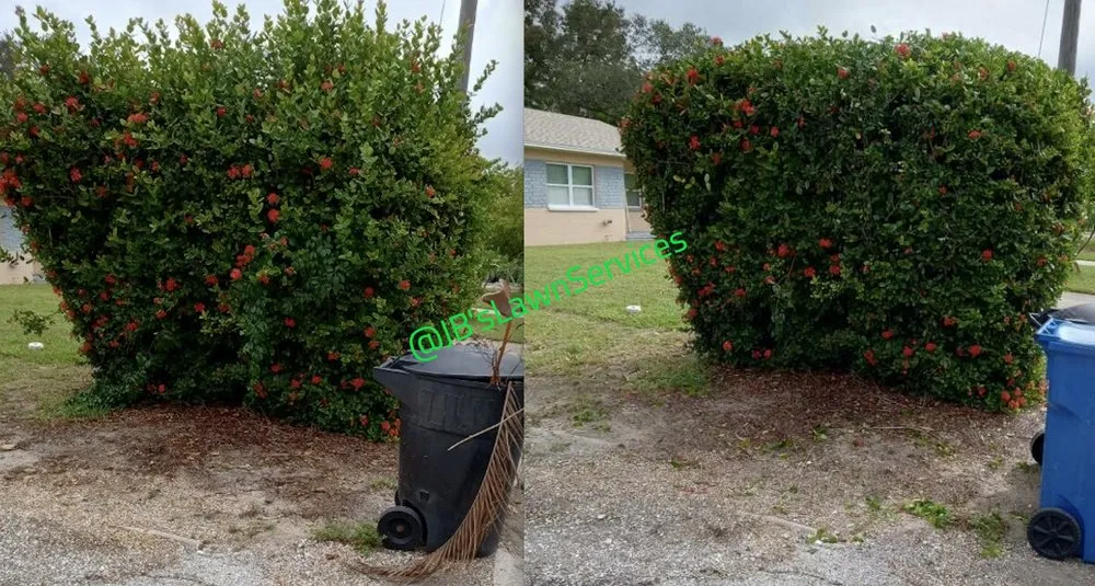 Professional landscape installation in St. Petersburg, FL by Jb's Lawn Services