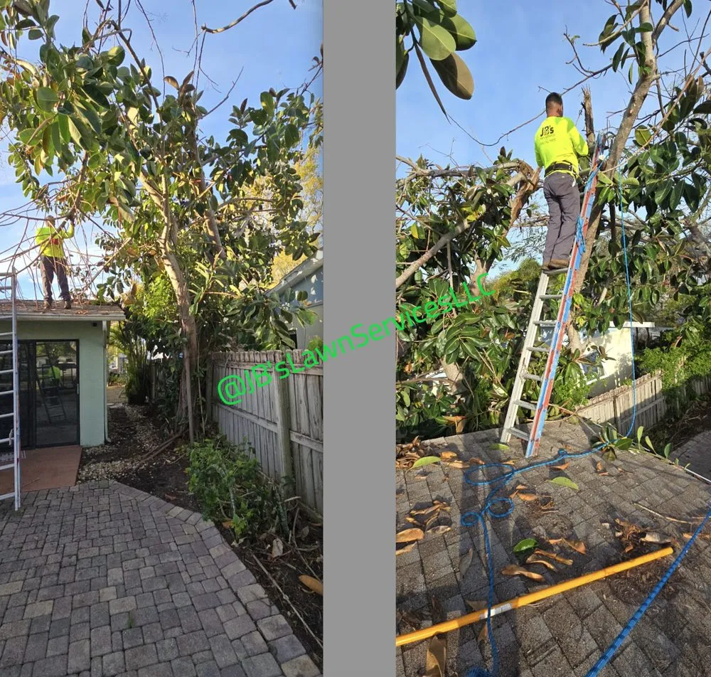 Expert lawn mowing service for outdoor upgrades across St. Petersburg, FL - Jb's Lawn Services