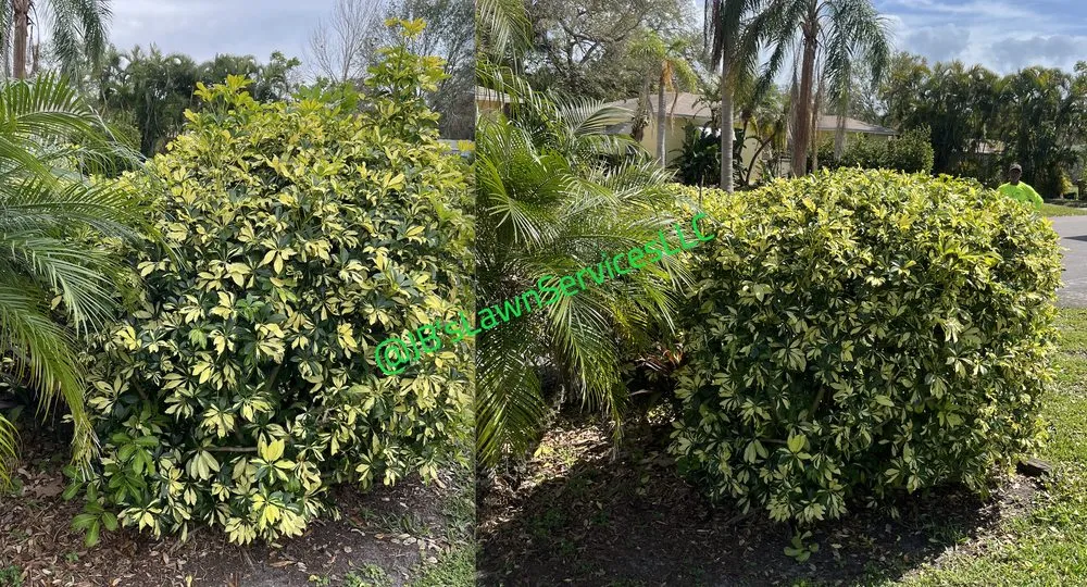 Top-rated landscape installation in St. Petersburg, FL by Jb's Lawn Services