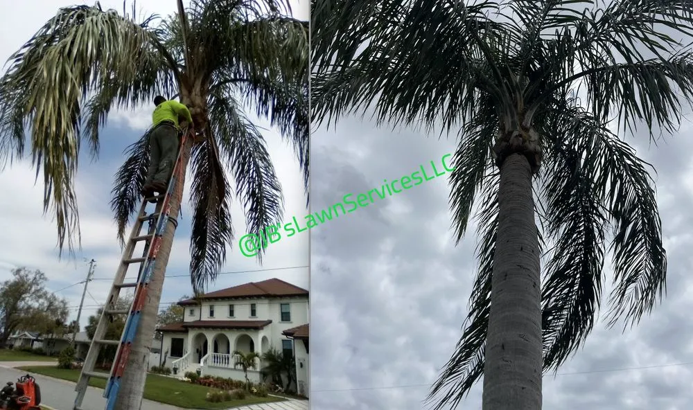 Top-rated lawn mowing service experts serving St. Petersburg, FL - Jb's Lawn Services