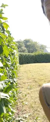 JB's Mowing & Snow Removal