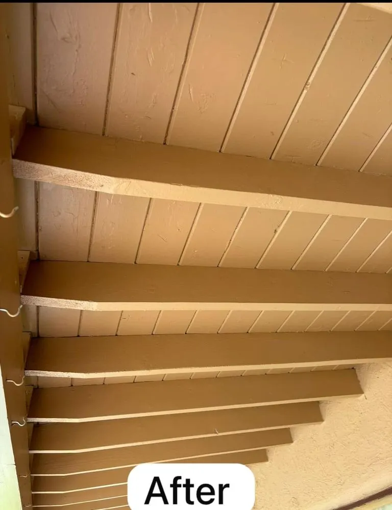 Affordable yard cleanup service for year-round maintenance in Albuquerque, NM by JB’S Painting & Landscape