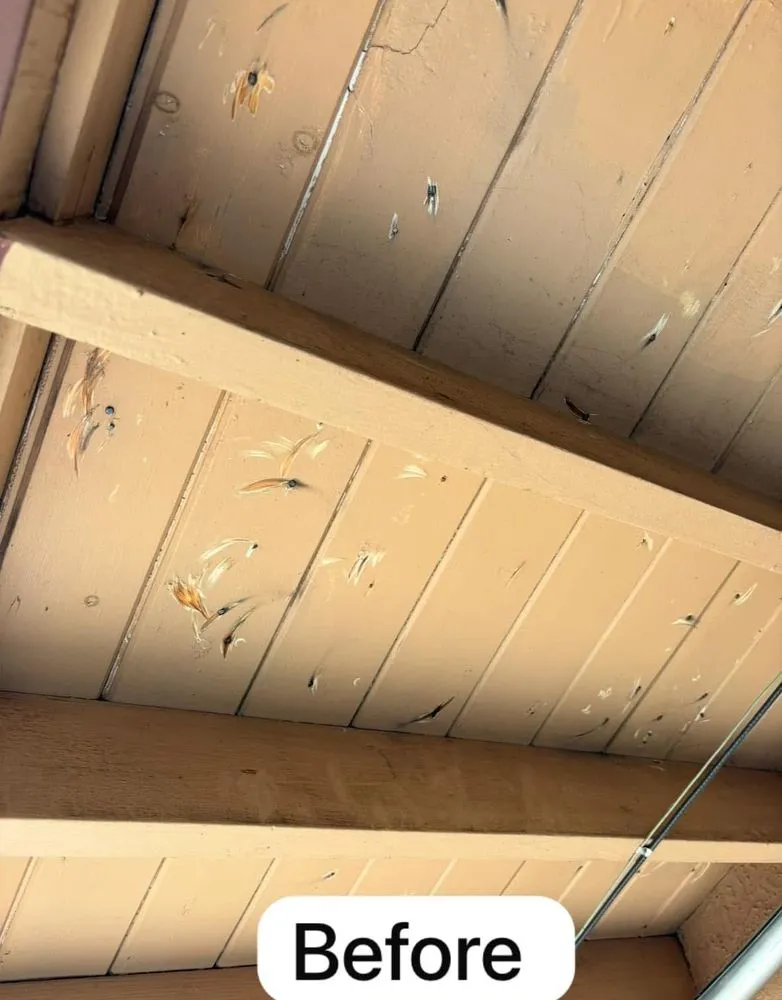 Top-rated yard maintenance in Albuquerque, NM by JB’S Painting & Landscape