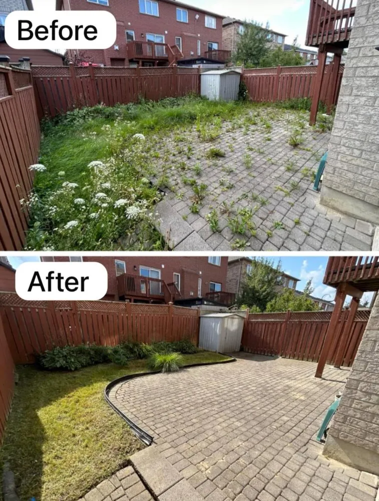 Trusted lawn mowing service in Albuquerque, NM by JB’S Painting & Landscape