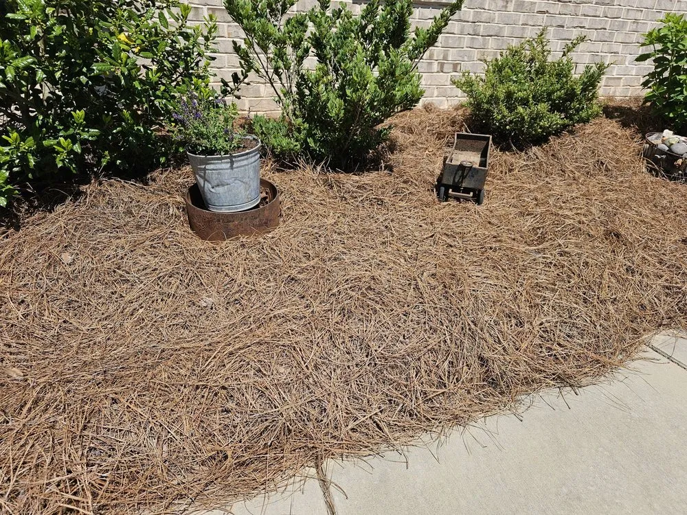 Local landscape design in Lewisville, NC - JB's Pine Needles