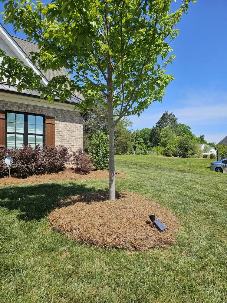 Custom outdoor landscaping in Lewisville, NC - JB's Pine Needles