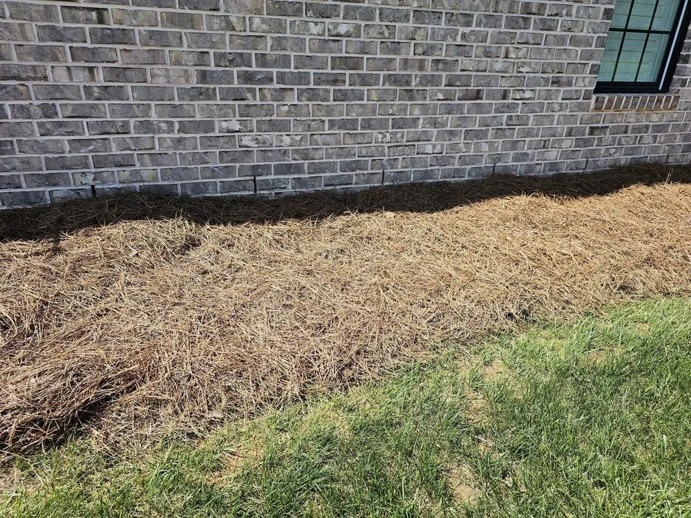 Top-rated lawn care service in Lewisville, NC by JB's Pine Needles