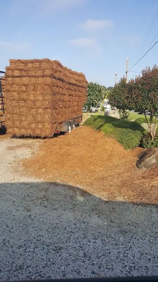 Reliable landscape installation in Lewisville, NC - JB's Pine Needles