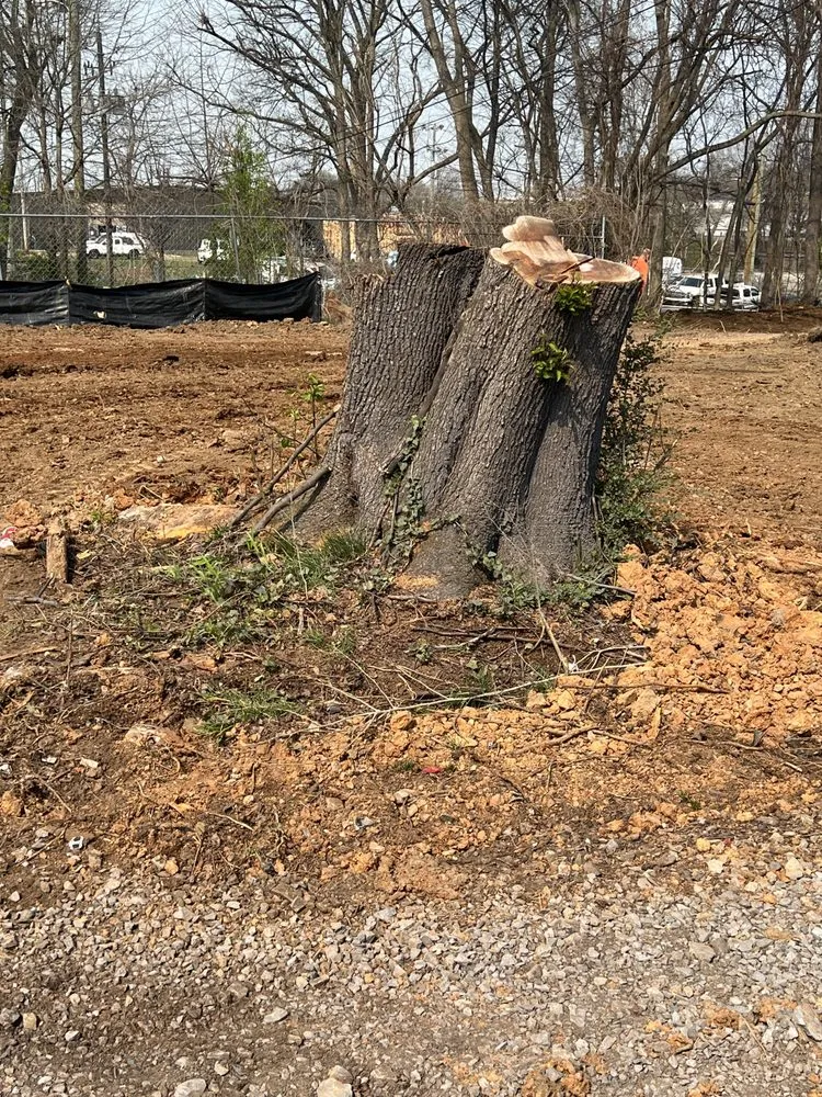 Reliable garden landscaping in Dalton, GA by JB’s Small Tractor Works and Stump Grinding