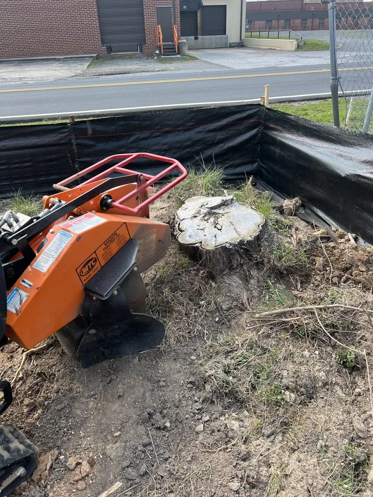 Affordable landscape installation experts serving Dalton, GA - JB’s Small Tractor Works and Stump Grinding