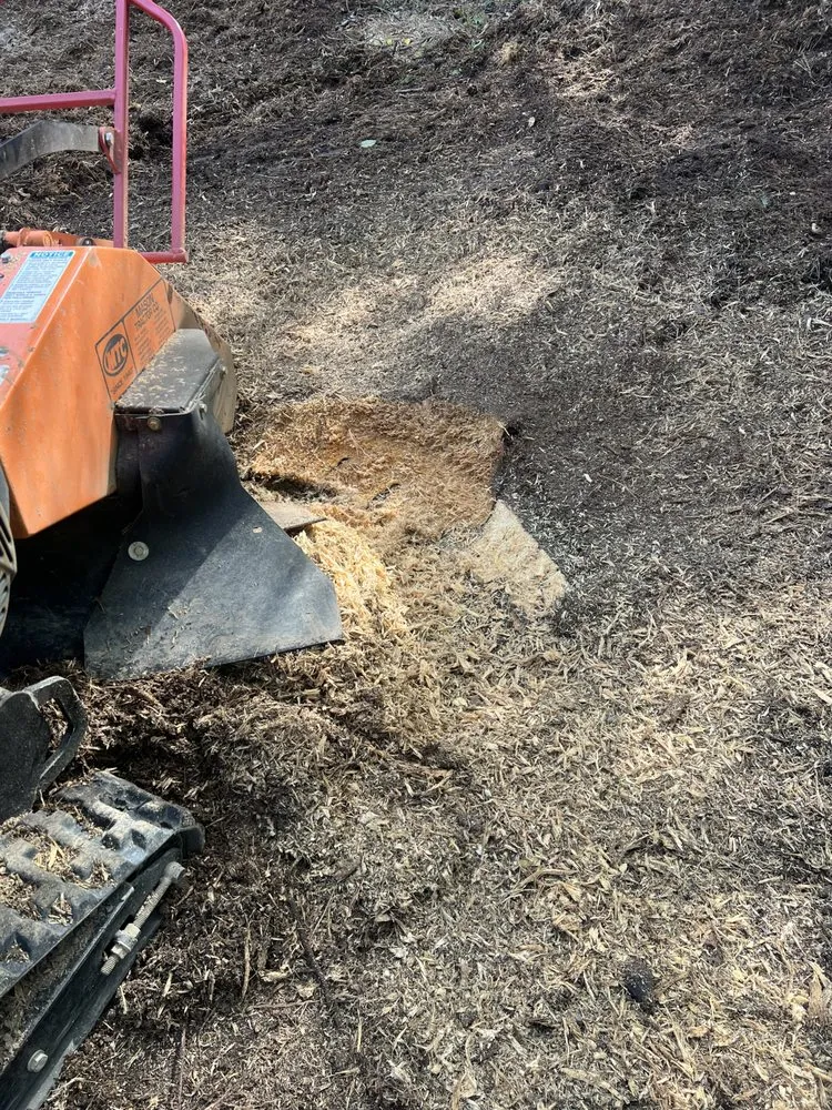 Custom yard cleanup service experts serving Dalton, GA - JB’s Small Tractor Works and Stump Grinding