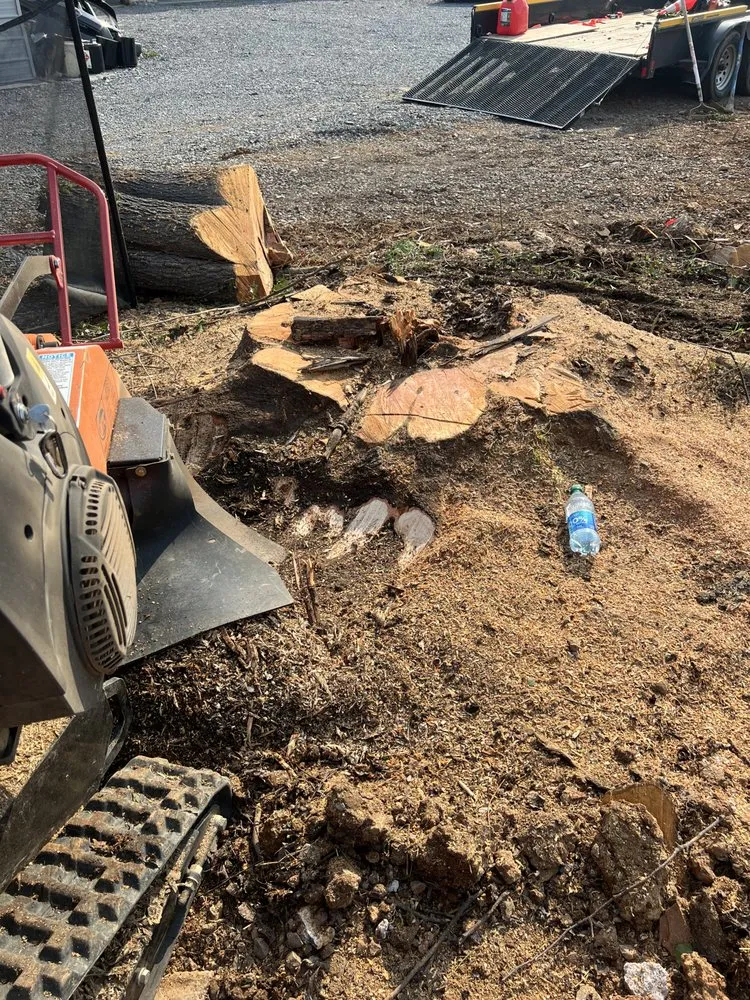 Expert garden landscaping for year-round maintenance in Dalton, GA by JB’s Small Tractor Works and Stump Grinding