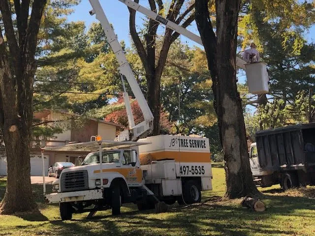 Expert yard maintenance experts serving Cottontown, TN - JB's Tree Service